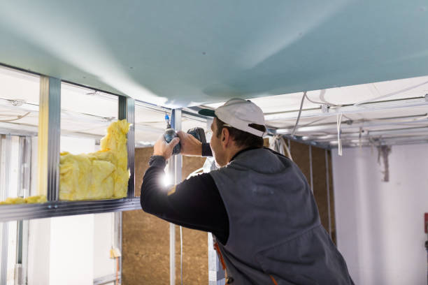 Best Insulation for New Construction  in Nipomo, CA