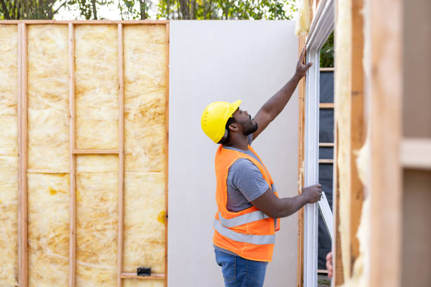 Best Insulation Removal  in Nipomo, CA