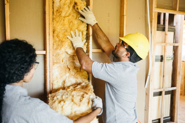 Best Commercial Insulation Contractor  in Nipomo, CA