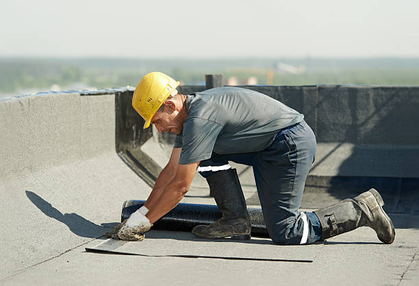 Best Insulation Contractors for Homes  in Nipomo, CA