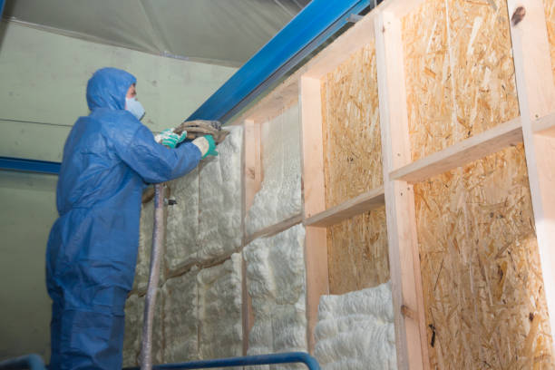 Best Insulation Removal Services  in Nipomo, CA